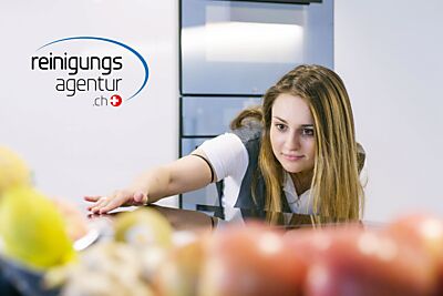 Logo QLS GmbH, reinigungsagentur.ch